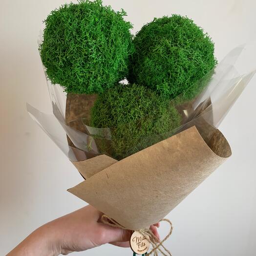 Букет из 3шт. зелёных шаров из стабилизированного мха 🌳