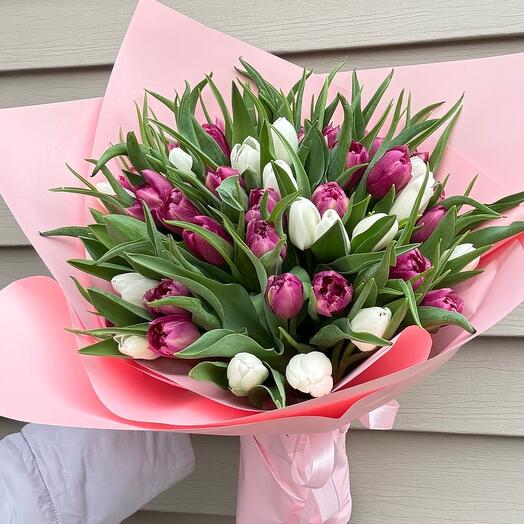 50 tulipas Holland Piones tulips