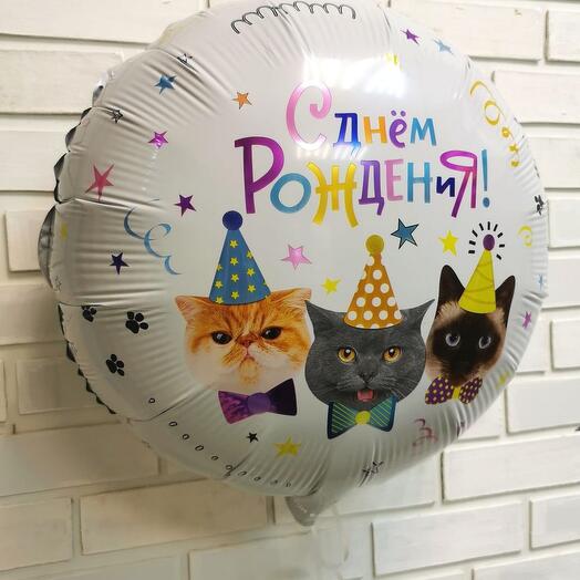 Шар С днём рождения