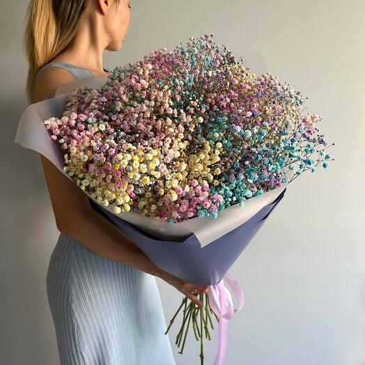 Объёмные гипсофилы радуга 🌈