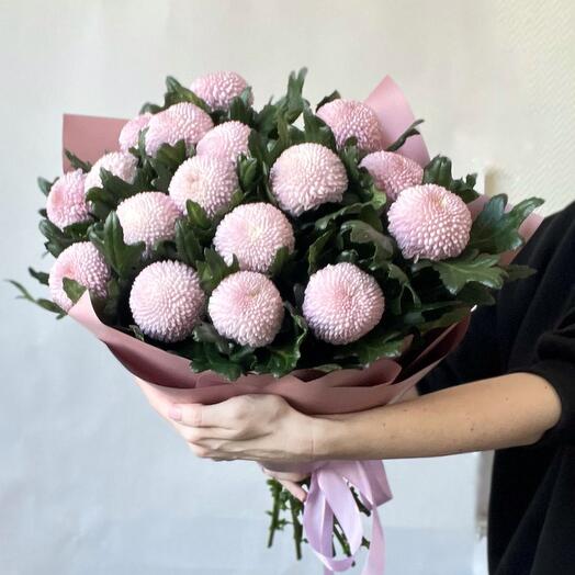Chrysanthemum Momoko