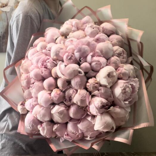 WOW🌷 Пион «Сара Бернар» 59 премиум 🌸
