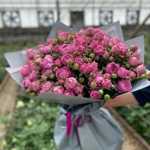 Пионовидная  роза мисти бабллс