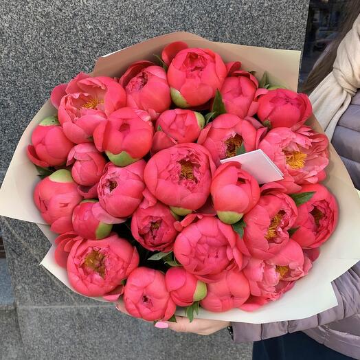 31 пион корал шарм