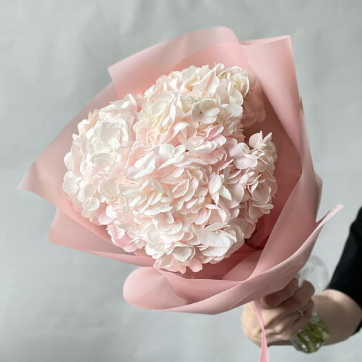 Pink hydrangeas