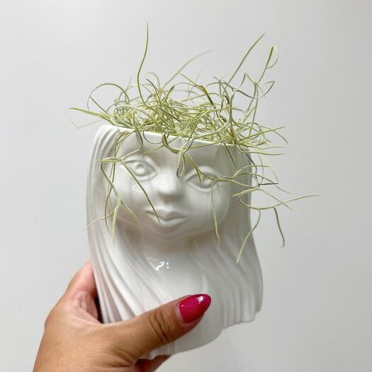 Planter girl with atmospheric tillandsia