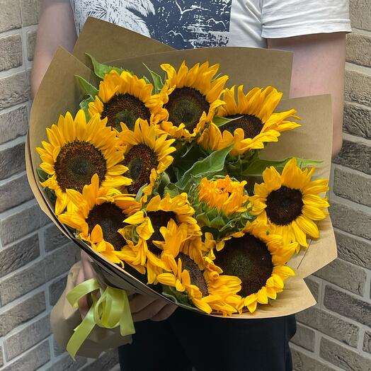 Подсолнухи 🌻