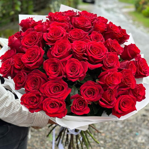 Red roses 50