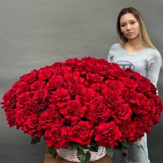 101 французская Роза
