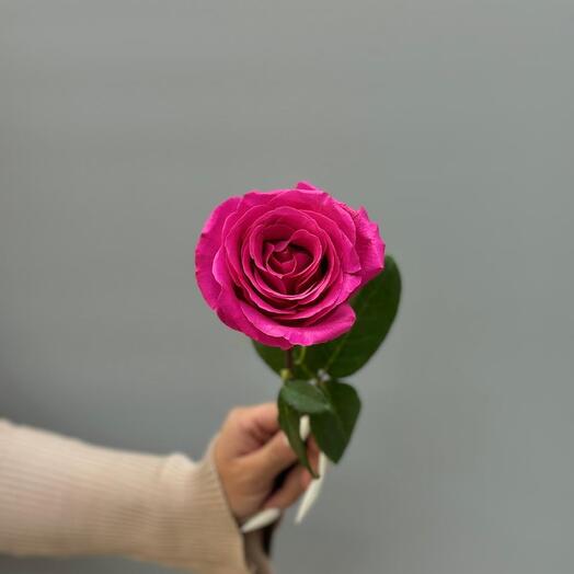 Роза эквадор розовая 60см 💕