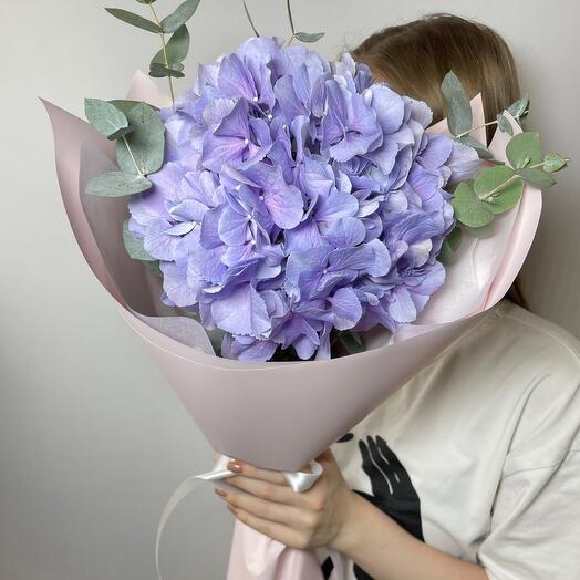 Dutch hydrangea with eucalyptus