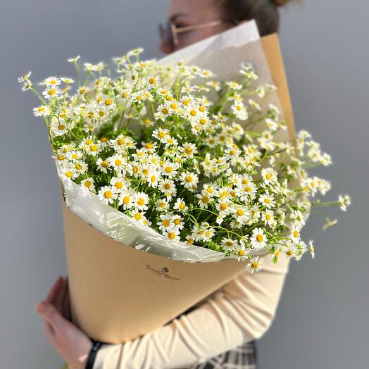 Bouquet "Otrada" (daisies)