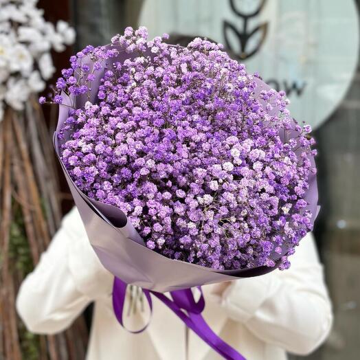 Лавандовая гипсофила