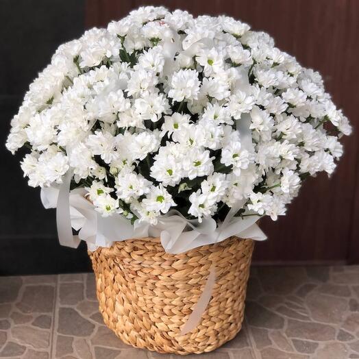 Basket with chrysanthemums