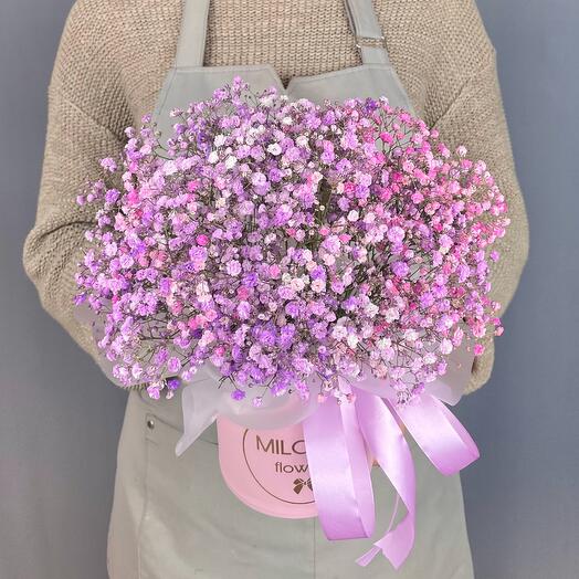 Flores en una Caja de gypsophila
