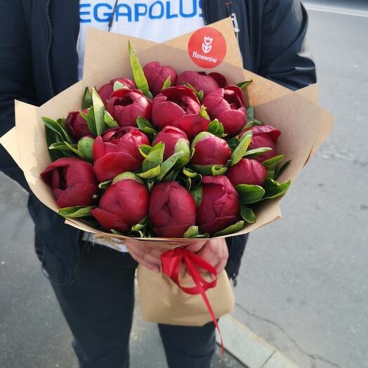 Пионы бордовые 15