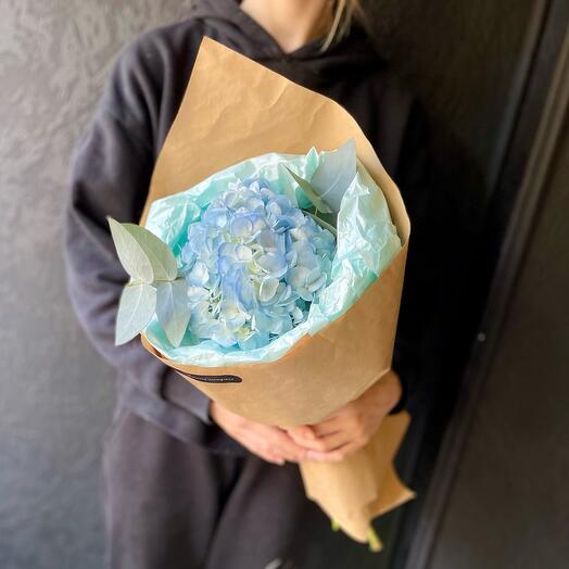 Un cumplido de Hortensia🌸059
