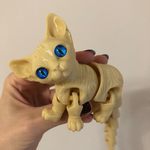 Котик