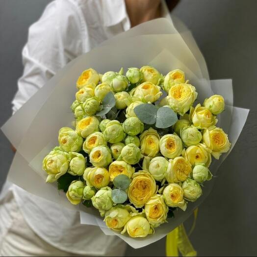 21 пионовидная роза Пиони Баблс