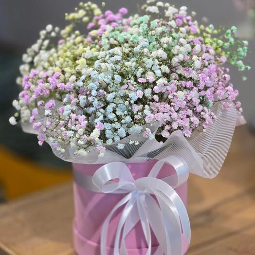 Радужная гипсофила