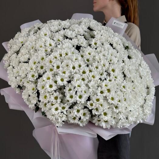 Букет из 75 хризантем