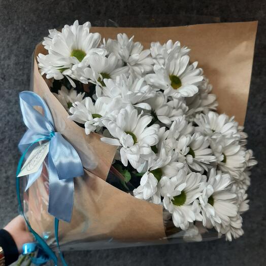 Chrysanthemum chamomile