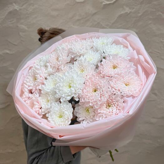 Bouquet of pink and white chrysanthemums