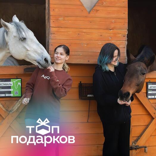 Подарочный сертификат Индивидуальная экскурсия на конюшню и катание верхом, до 3 чел. (1 час)
