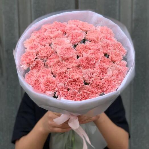 Carnation