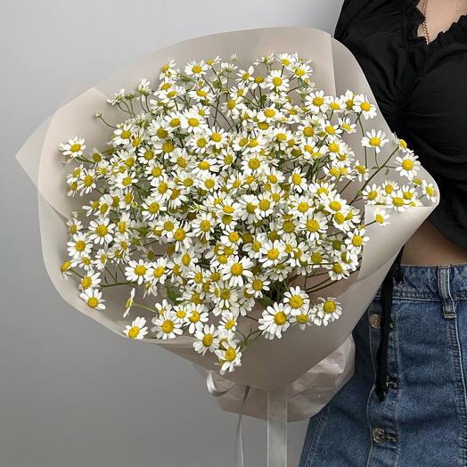 11 кустовых ромашек