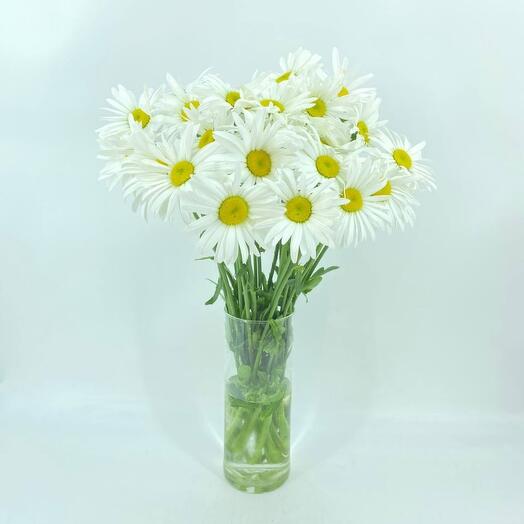 Bouquet of garden daisies 25 pieces