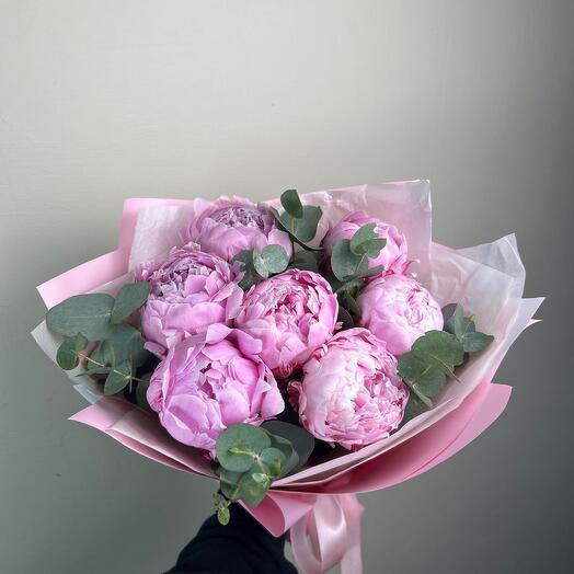 Monobook of 7 fragrant peonies