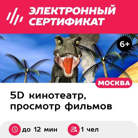 Подарочный сертификат Просмотр 2 VR-фильмов до 10 мин. каждый в 5D-кинотеатре, 1 чел. (ТРЦ Нора)