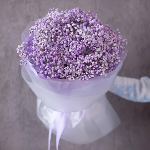 11 веток фиолетовой гипсофилы