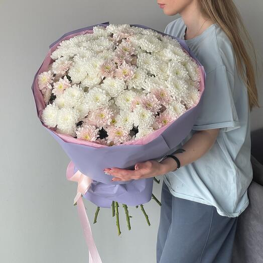 Букет пастельных хризантем (19шт)