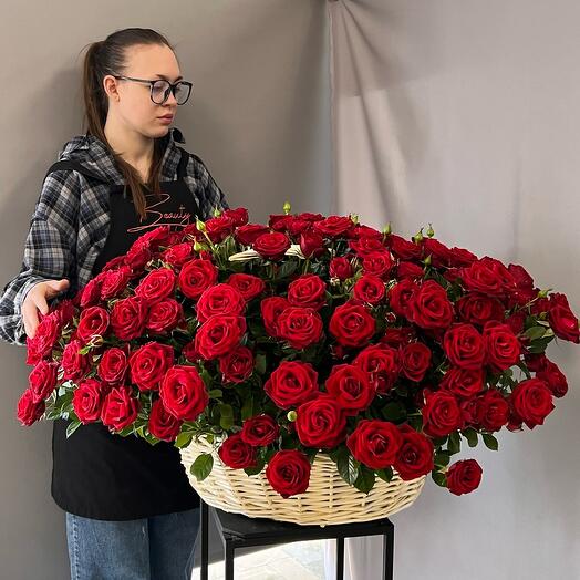 Корзина с кустовыми розами XXL «Малифисента»