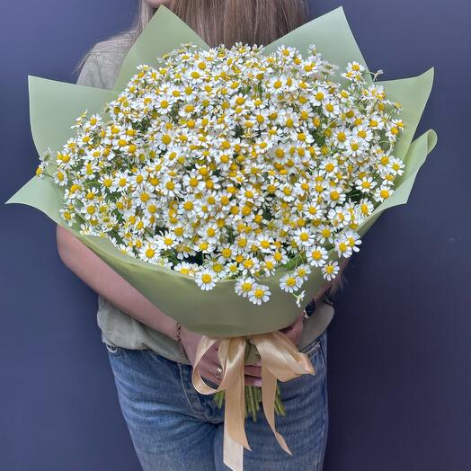 Ромашки
