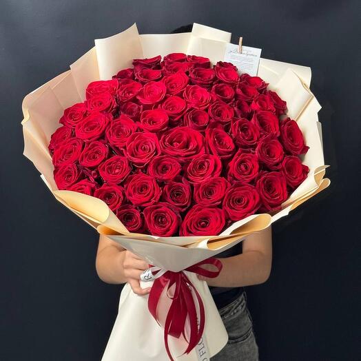 The Rose is Red