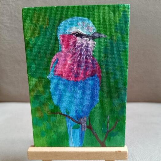 Плава птица