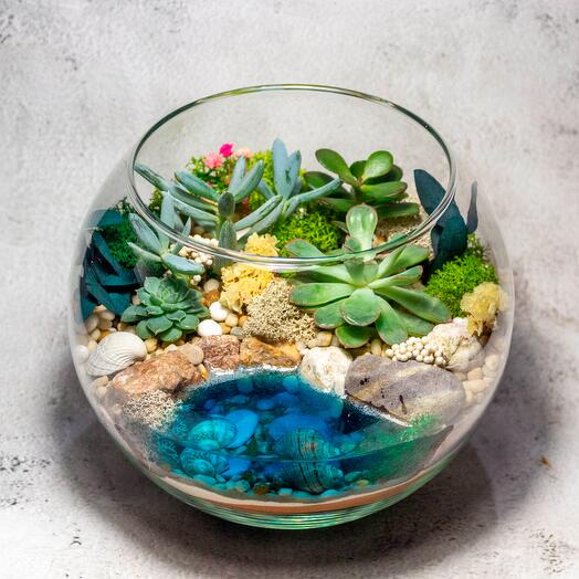 Флорариум Цветной М