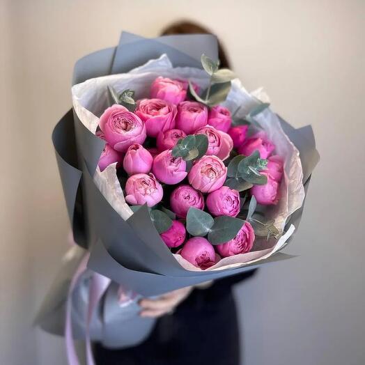 Rosas de arbusto en forma de peonía Silva Pink 9