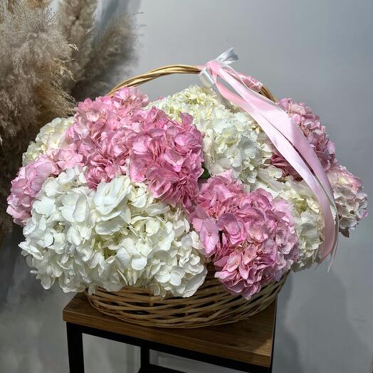 Корзина 15 розово-белых гортензий