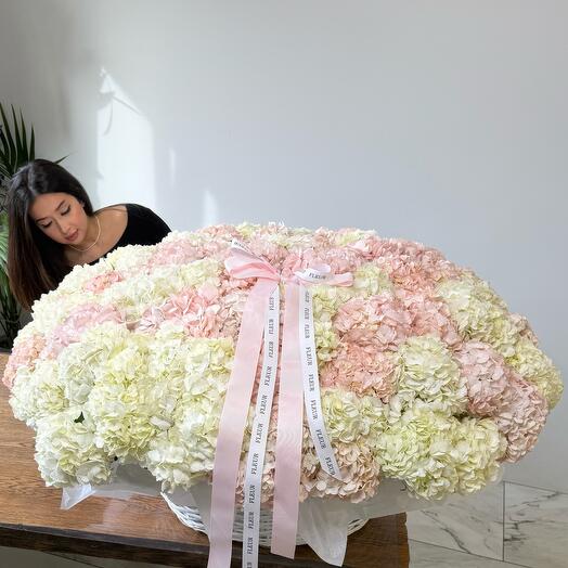 Корзина 101 гортензия