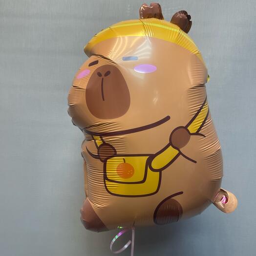 Вощлцныц шар, игура , Капибара с фотоаппаратом
