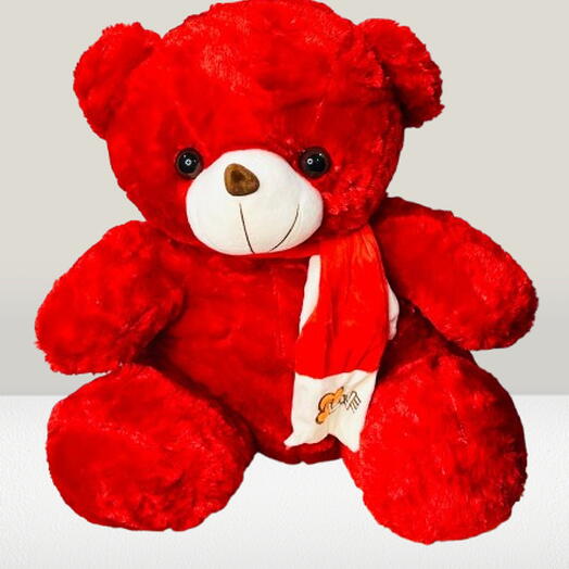 Red Teddy Bear