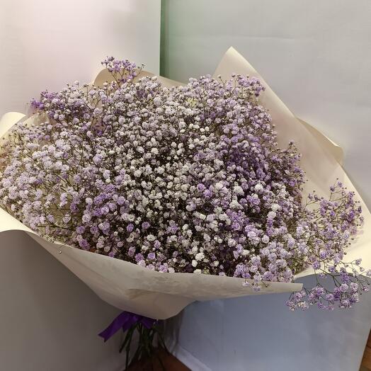 Букет 15 шт фиолетовые / лаванда / лиловые / гипсофилы Голландия, композиция фиолетовая / лиловая гипсофила с оформлением