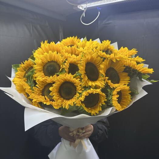 Подсолнух 29🌻🌻🌻