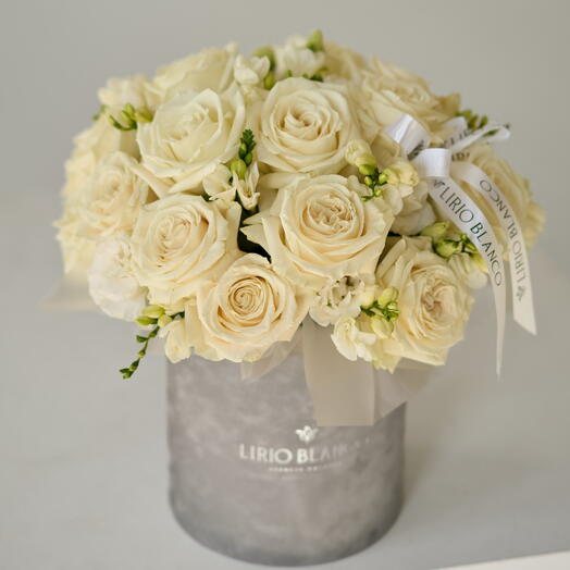 Biała róża i frezja w pudełku