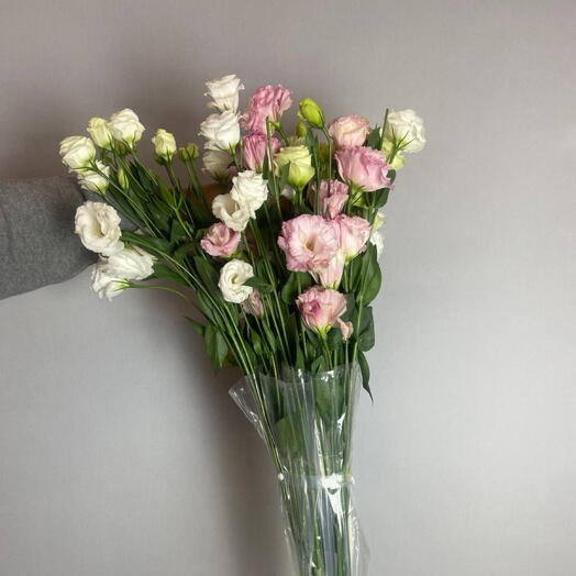 Эустома в зонтике