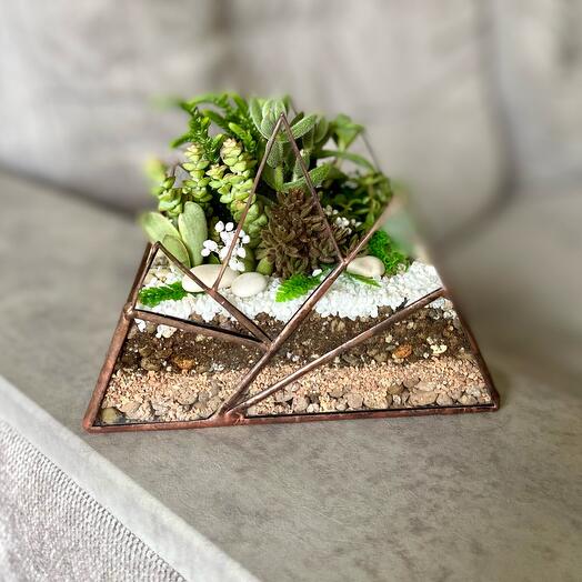 Флорариум «Горы» подарок на день рождения папе